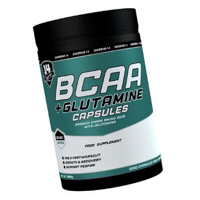 BCAA + الجلوتامين